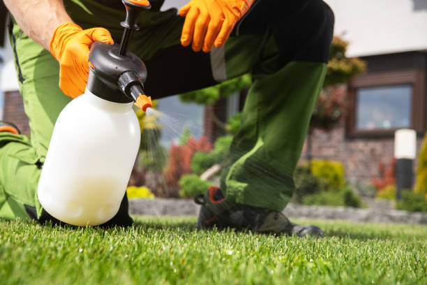 Best Affordable Pest Control Services  in Bratenahl, OH