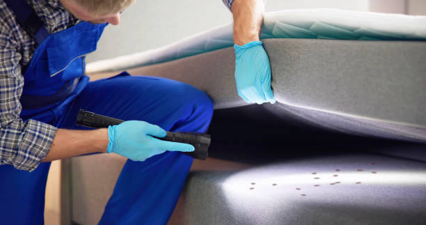 Best Wasp Removal Services  in Bratenahl, OH