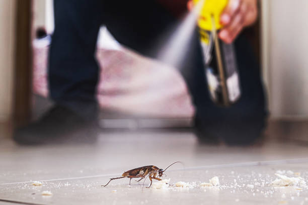 Best Wildlife Control Services  in Bratenahl, OH