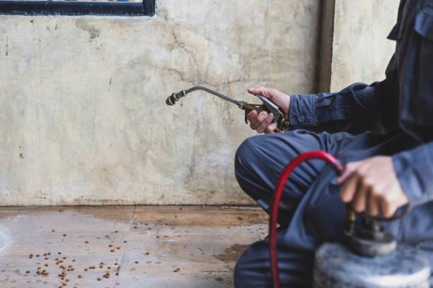 Best Local Pest Control Services  in Bratenahl, OH